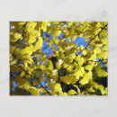 Suche nach herbst blätter postkarten Natur