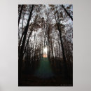 Suche nach magischer baum poster Mystisch
