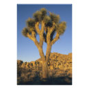 Suche nach granit poster Usa
