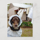 Suche nach vintage wäsche postkarten Lustig