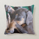 Suche nach dobermann kissen Welpe