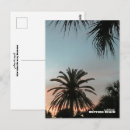 Suche nach florida palmen postkarten Reise