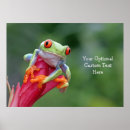 Suche nach niedlicher frosch poster Natur