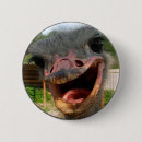 Suche nach strauß buttons Vogelvogel