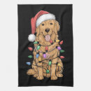 Suche nach golden retriever geschirr tücher Lustig