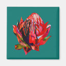 Suche nach flower magnete Aquarell