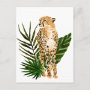 Suche nach tierporträts postkarten Gepard