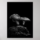 Suche nach rollstuhl poster Toadstool