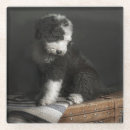 Suche nach studio untersetzer Hund