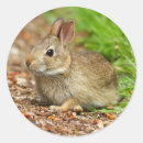 Suche nach easter aufkleber Quelle