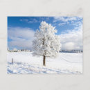 Suche nach schneebedeckte bäume postkarten Natur