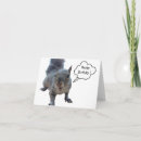 Suche nach graues eichhörnchen karten Spaß