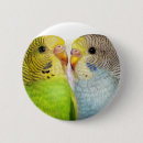 Suche nach wildes leben buttons Vogel