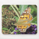 Suche nach antennen mousepads Schmetterling
