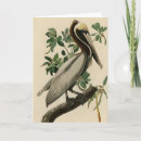 Suche nach audubon karten Vogelvogel