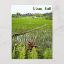 Suche nach ubud Indonesien