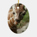 Suche nach giraffe ornamente Safari