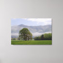 Suche nach wiesen leinwandbilder Landschaft