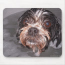 Suche nach hündchen mousepads Hund