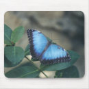 Suche nach schmetterlinge und motten mousepads Blau