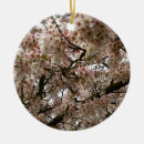 Suche nach kirschbaum ornamente Rosa