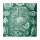 Suche nach vintage fische fliesen Tiere
