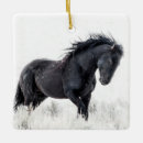 Suche nach wildpferde ornamente Hengst