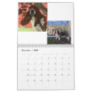 Suche nach jagdhund kalender Welpe