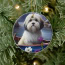 Suche nach havanese ornamente Haustier