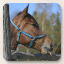 Suche nach horse untersetzer Reiter