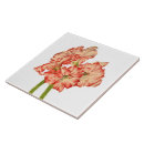 Suche nach rote lilien fliesen Natur