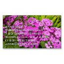 Suche nach lila blumen visitenkarten Natur