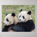 Suche nach umarmt poster Freundschaft