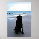 Suche nach schwarzer sand poster Strand