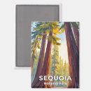 Suche nach sequoia magnete Bäume