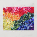 Suche nach knopf postkarten Fotografie