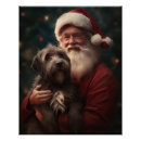 Suche nach drahthaar poster Drahthaar mit griffon
