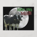 Suche nach coole kuh postkarten Tier