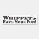 Suche nach whippets autoaufkleber Zucht