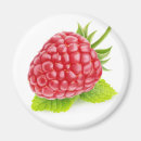 Suche nach himbeeren magnete Gesund