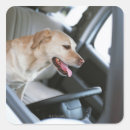 Suche nach labrador aufkleber Urlaub