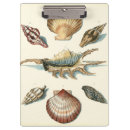 Suche nach muschel klemmbrett Meer