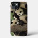 Suche nach asien ipad hüllen Fauna