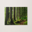 Suche nach waldweg puzzle Pfad
