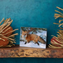 Suche nach schnee fotoplatten Wälder