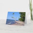 Suche nach sorgfalt postkarten Glaube