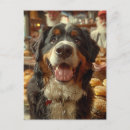 Suche nach berner sennenhund postkarten Süß