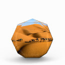 Suche nach kamele Landschaft