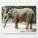 Suche nach afrikanischer elefant mousepads Natur