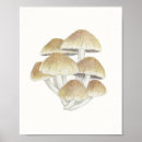Suche nach vintager pilz poster Toadstool